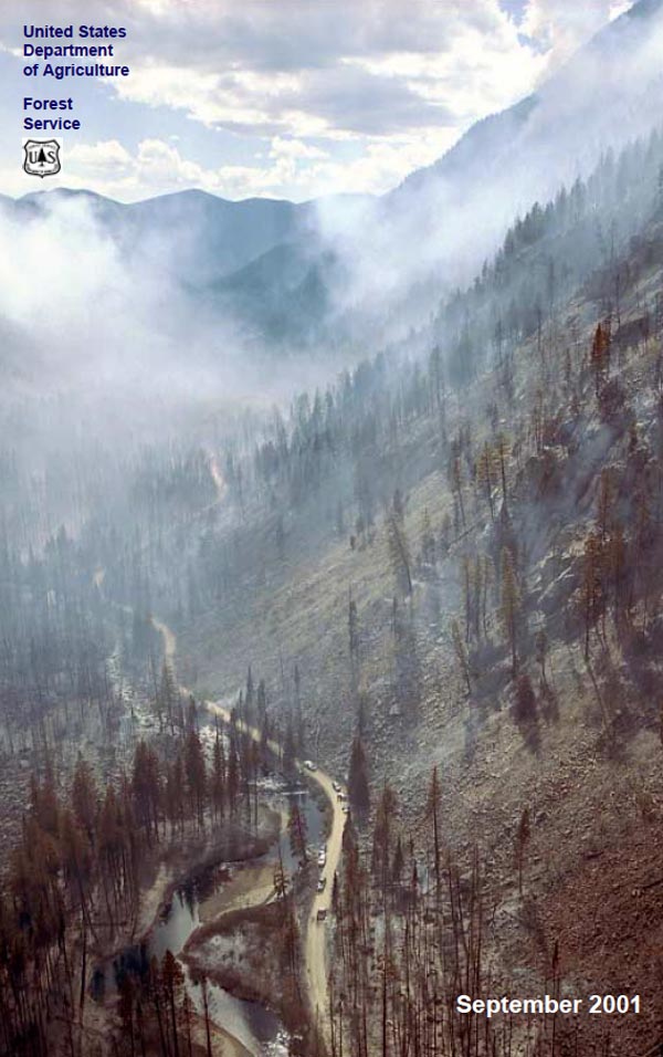 Aerial view of Thirtymile Fire Accident Site